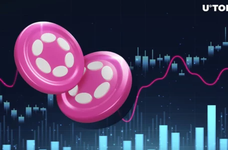 Polkadot (DOT) Launches Most Important Upgrade, Price Reacts