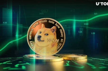 Dogecoin (DOGE) Skyrockets 582% in Key Metric as Whales Tap In