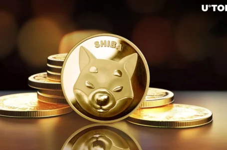 Shiba Inu Secures Elite Status in Market Rankings Among Meme Coins