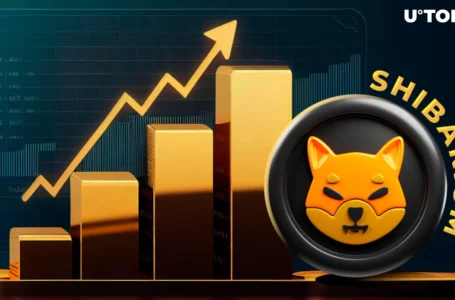 Shiba Inu’s Shibarium Skyrockets 65% in Key Indicator of Network Activity