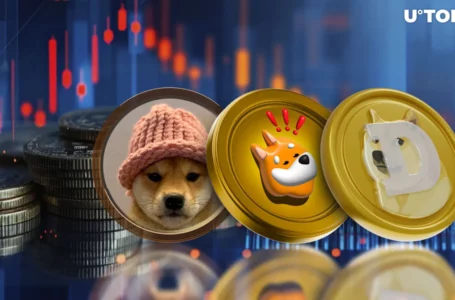 Meme Coins Losing Value: BONK, WIF, DOGE Under Pressure
