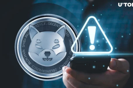 Crucial Shiba Inu Warning Issued as Major Developments Await; What It Concerns