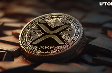 Has XRP Survived Its Worst Drawdown?