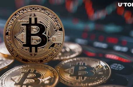 Charts Look ‘Scary Bullish for Bitcoin’: Dan Tapiero