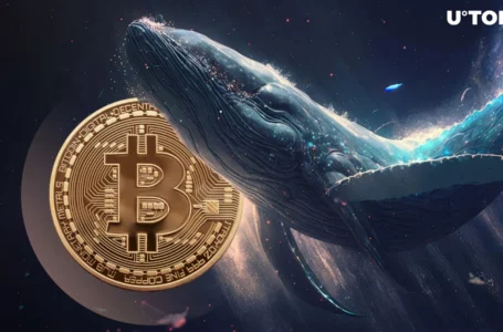 Bitcoin (BTC) Whales Almost Disappear From Network, Here’s Reason Why