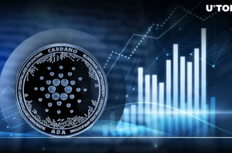 Cardano (ADA) Skyrockets 26% in Volume – What’s Happening?