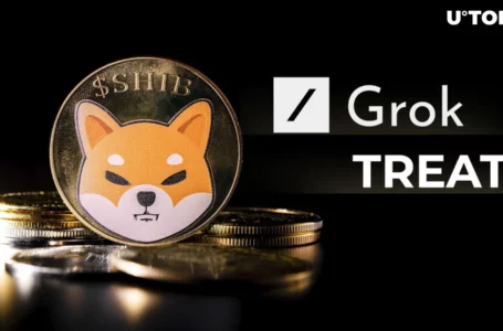 Shibarium: Grok’s Insight on TREAT Unveiled by Shiba Inu Insider