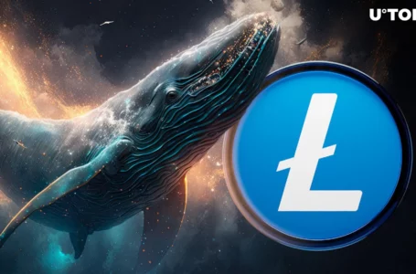 Litecoin (LTC) Whales Waking Up: Details