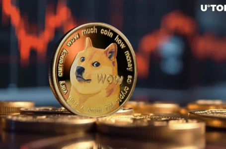 Dogecoin (DOGE) Faces Whale Drama as Key Metric Drops 86%