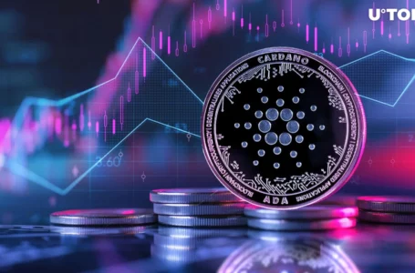 Cardano: 21 Billion ADA Shifted in Anticipation of Major Price Boost