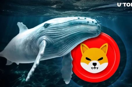 Shiba Inu (SHIB) Whales Waking Up: Details