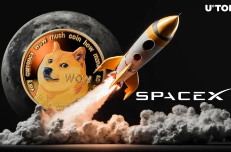 SpaceX Hits Major Milestone, Community Expects DOGE to the Moon