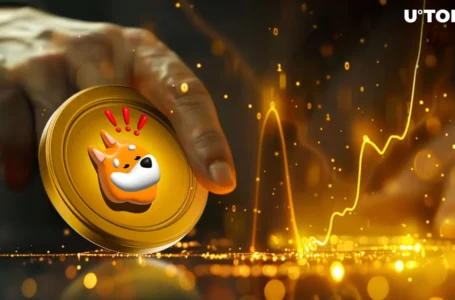 Solana’s Shiba Inu Goes Big: BONK Reaches $2 Billion Milestone