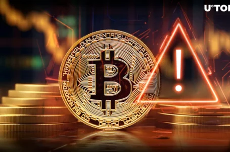 Bitcoin Price Alert: 273,000 BTC Held at Key Bitcoin Supply Range