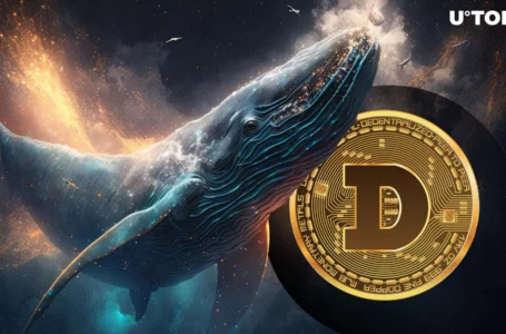 DOGE Skyrockets 100% in Whale Transactions Amid Dogecoin ETF Rumors