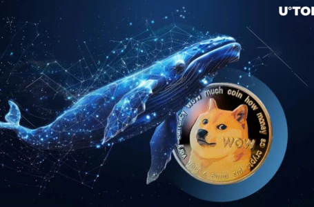Ancient Dogecoin Whale Returns After 10.4 Years: What Did They Do Next?