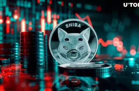 Shiba Inu (SHIB) Breakout Fails, Here’s What Comes Next