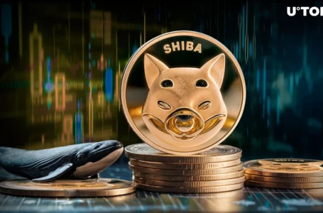 Enormous 5.7 Trillion Shiba Inu (SHIB) in 24 Hours: What’s Happening?