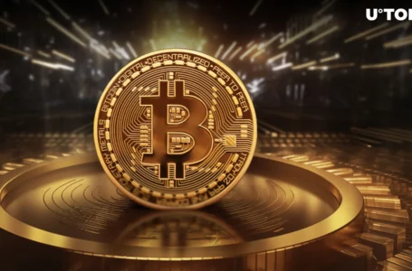 Satoshi-Era Bitcoin Miner Awakens: 2,000 BTC Moved in One Go