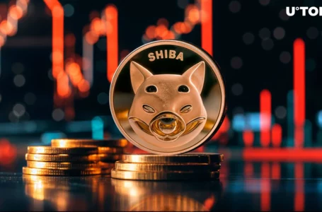 19 Trillion Shiba Inu Forms Most Important Resistance to Watch