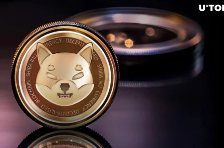 Shiba Inu Insider Shares Crucial Message With SHIB Community