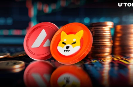 Shiba Inu (SHIB) Flips Avalanche (AVAX) as Market Resets