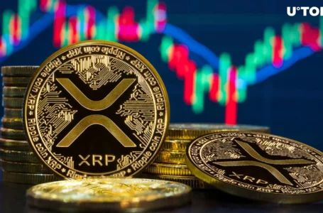 XRP Ledger Sparks Unprecedented 350% Rally Amid Payments Boom