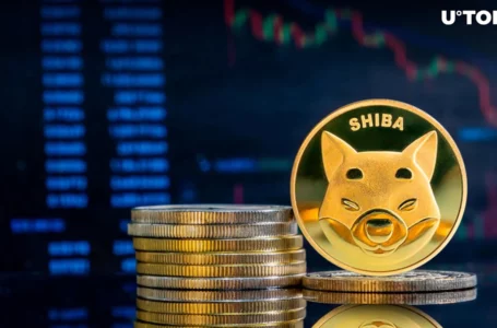75 Billion Shiba Inu in 24 Hours, What’s Happening?