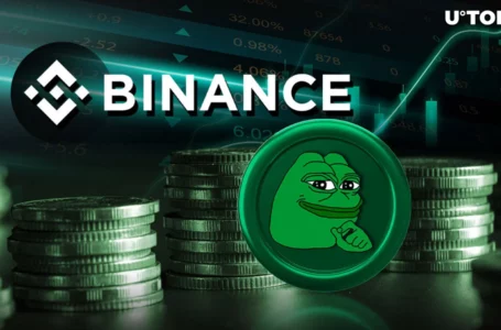PEPE Plunges 20% From ATH as 660.7 Billion PEPE Go to Binance