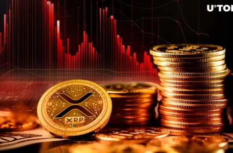 XRP Just Dropped Below Crucial Support Level