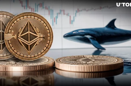 Ethereum Whales Go Bullish as ETH Holdings Skyrocket