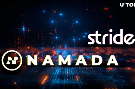 Stride Protocol Integrates With Namada for Asset Security: Details