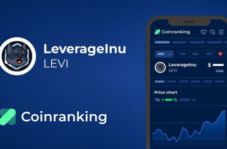 LeverageInu Coin Review: All To Know About