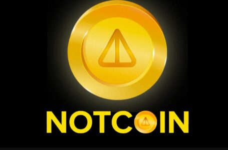 Notcoin Review: All To Know About