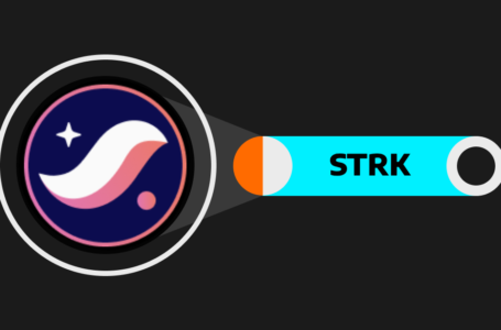 Starknet (STRK) Review: All To Know About