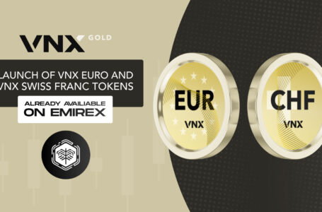 VNX Gold Coin Review: All To Know About
