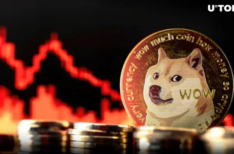 Dogecoin (DOGE) Price Struggles as Major Metrics Turn Bearish