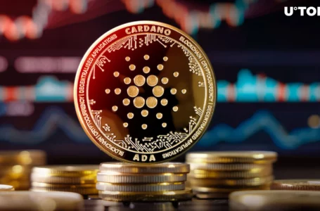 Cardano: 2.5 Billion ADA Face Critical Test at Key Level