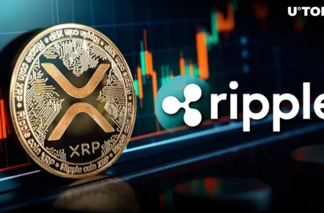 XRP Awaits: Ripple’s Stablecoin Progress Teased