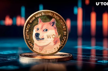 Satoshi’s Privacy Legacy Reverberates Through Dogecoin; What Happened