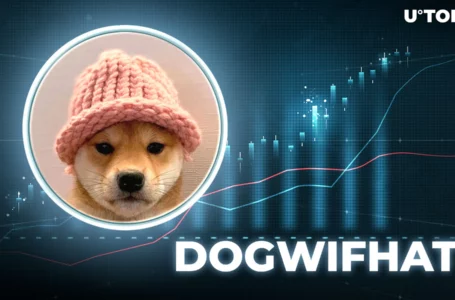 Solana-Based Dogwifhat and Dogecoin Pare Gains as Bitcoin Struggles to Reclaim $64K