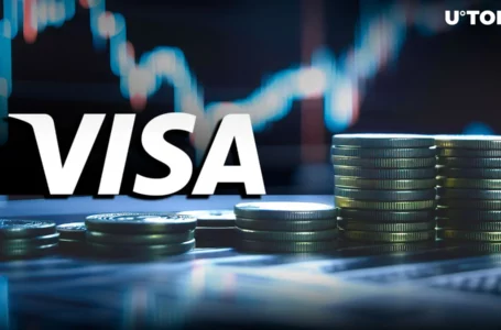 Stablecoins on Verge of Beating Visa in Volume: How Will It Affect Bitcoin?