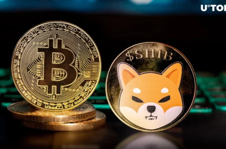 SHIB Exec Shares Crucial Shiba Inu and Bitcoin Message to Community