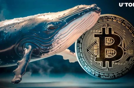 Bitcoin Whale Snaps up $411 Million in BTC Amid Market Uncertainty