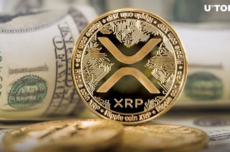 XRP Alert: 19 Million Tokens Move as Market Holds Breath