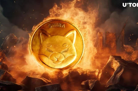 Shiba Inu’s Weekly Burn Skyrockets 338%, Millions of SHIB Disappear