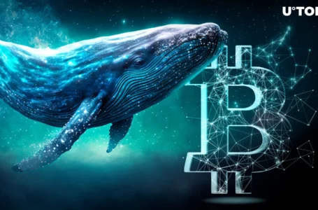 Ancient Bitcoin Whales Suddenly Awake After 10.7 Years With 49,274.2% Profit