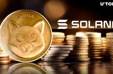 Shiba Inu (SHIB) Joins Ranks of Major Solana-Centered Exchange