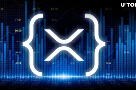 XRP Ledger Hits Major Milestone, Surpassing 88 Million Ledgers