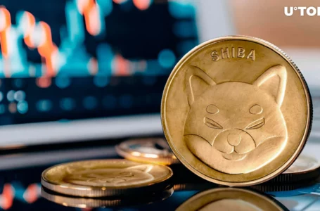 Shiba Inu (SHIB) Rally Stalls: Details